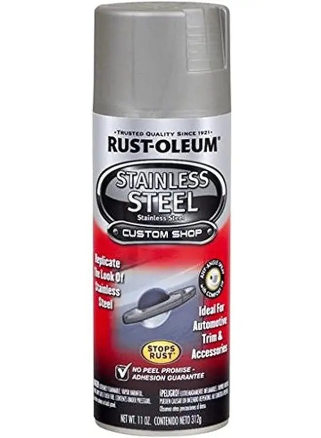RUST-OLEUM Rust-Oleum Automotive Spray Paint, , Stainless Steel,312g ,275299