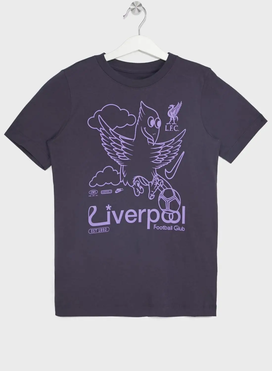 Nike Liverpool Fc Air T-Shirt