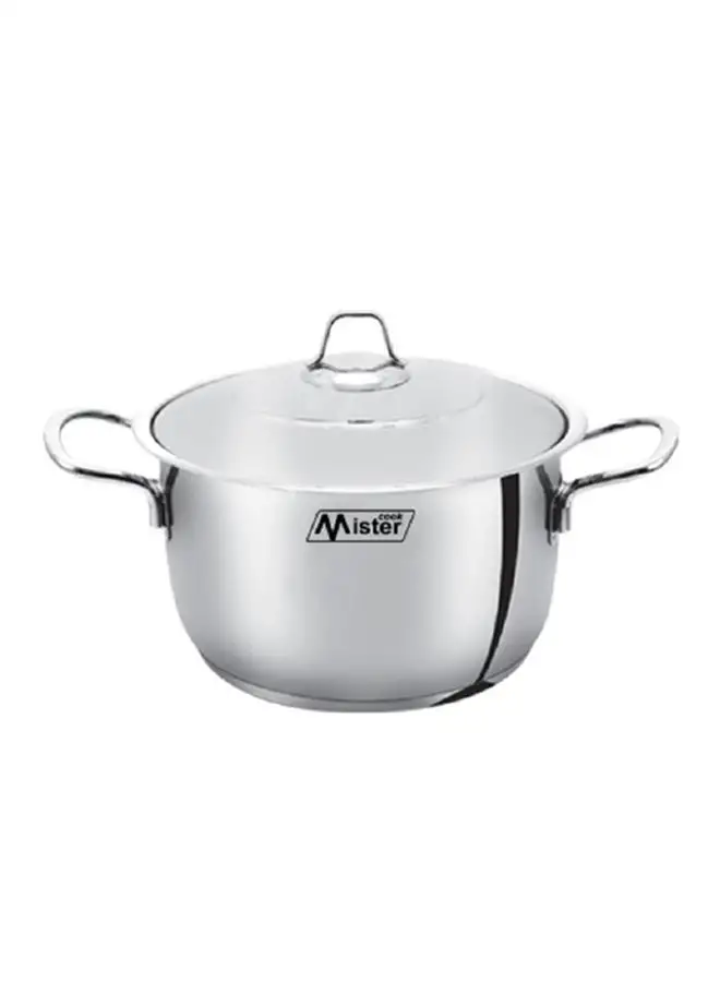 mister cook Stainless Steel Casserole With Steel Lid  Silver