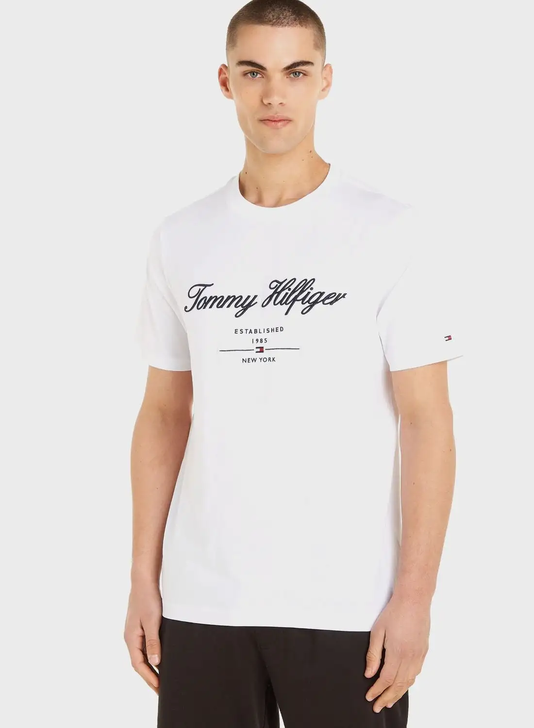 TOMMY HILFIGER Script Logo Crew Neck T-Shirt
