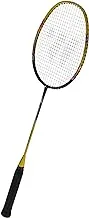 Wish Fusiontec 777 Badminton Racket with Full Cover