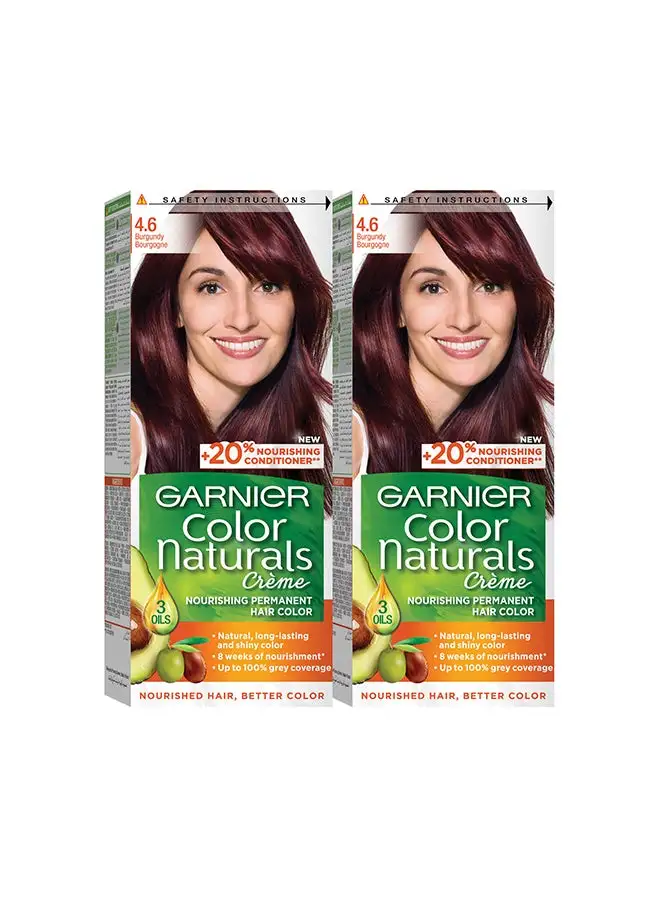 Garnier Color Naturals 4.6 Burgundy Haircolor Pack of 2