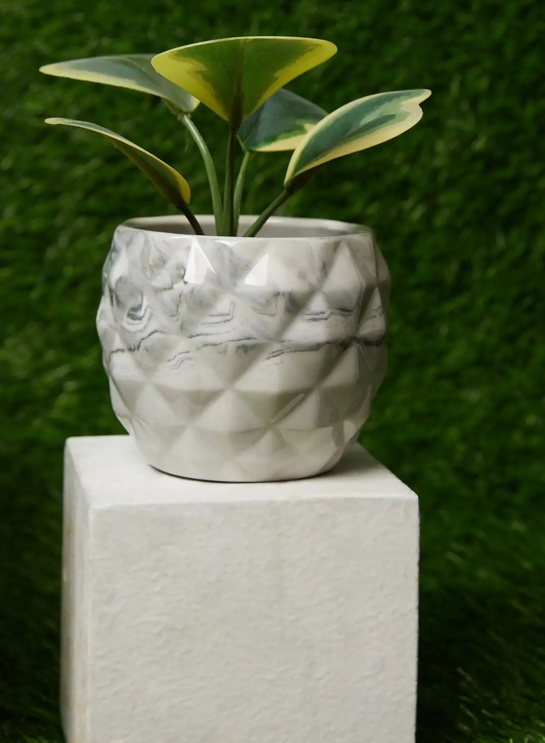Noire Edit Flowerpot-Ceramics+Wood