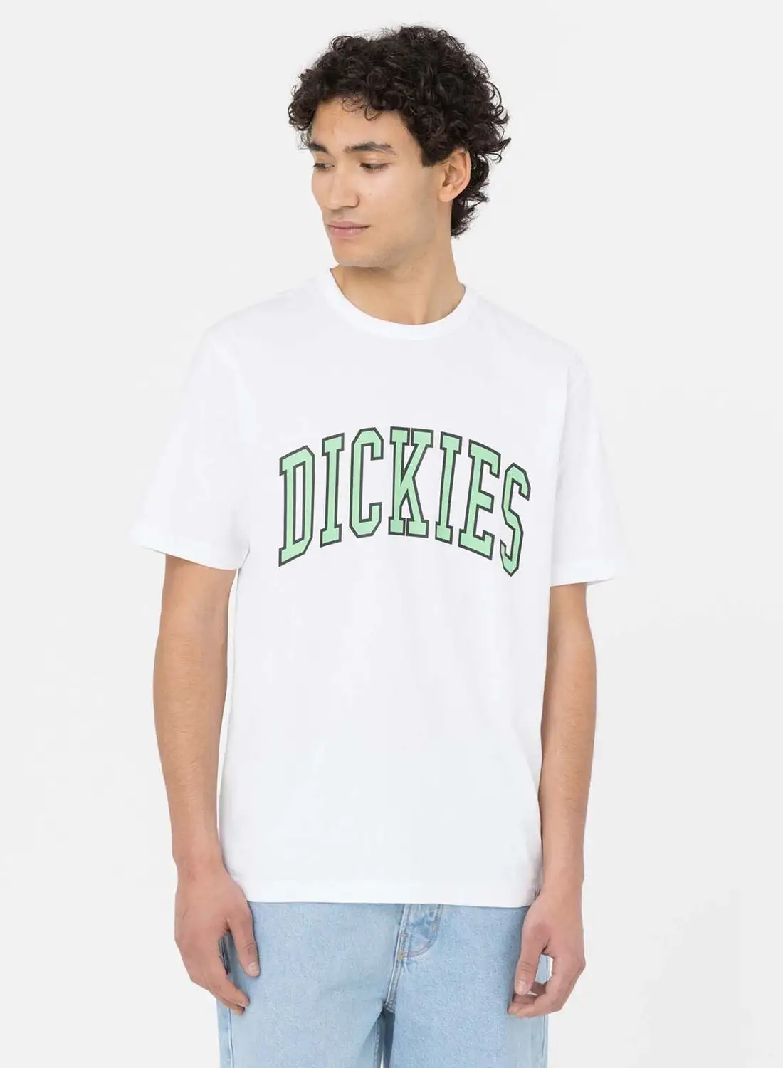 Dickies Aitkin T-Shirt