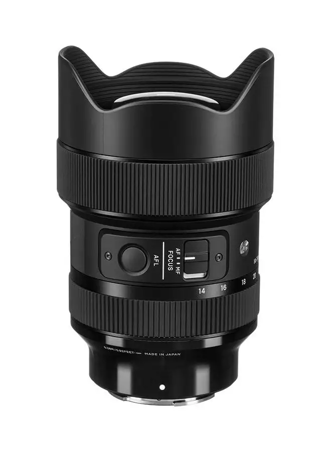 SIGMA 14-24mm f/2.8 DG DN Art Lens for Sony E
