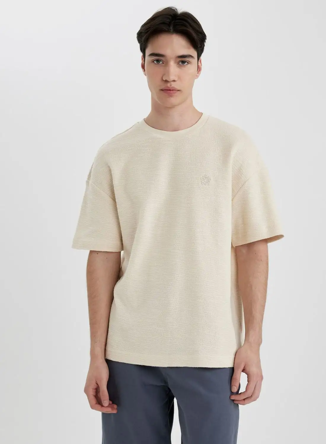 DeFacto Comfort Fit Crew Neck Printed Knitwear T-Shirt