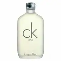 Calvin Klein C.K.One Perfume 200ml