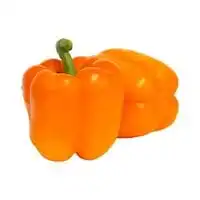 Capsicum Orange