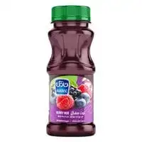 Nadec Nectar Berry with Fruit Mix 180ml