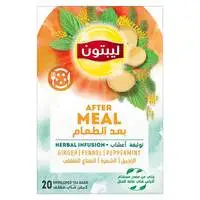 Lipton After Meal Herbal Infusion Ginger Fennel And Peppermint Tea 20 Tea Bags