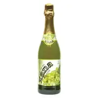 Xana Non Alcoholic No Added Sugar Sparkling Green Grape Juice 750ml
