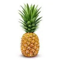 Indian Pineapple