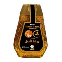 Wadi Alnahil Rawdat Alnahil Honey 250g