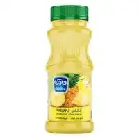 Nadec Nectar Pineapple with Fruit Mix 180ml
