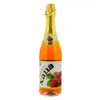 Xana No Sugar Added Strawberry Sparkling Fruit Juice 750ml