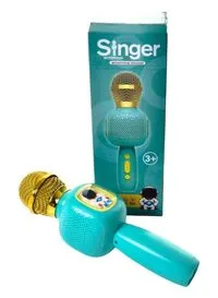Rally Karaoke Singing Microphone Speaker Toy