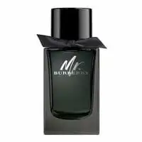 Burberry My Mister De Perfume For Men 50 ml