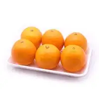 Valencia Orange Tray 6Pieces