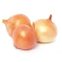 Onion Golden