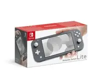 Nintendo  Switch Lite (Gray)