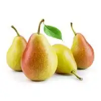 Coscia Pear