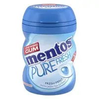 Mentos Sugar Free Fresh Mint Chewing Gum 17.5g