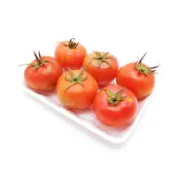 Tomato Tray 500g