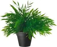 Generic Fejka Artificial Potted Plant House Bamboo