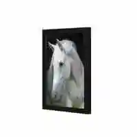 Lowha Horse Wall Art Wooden Frame Black Color 23X33cm