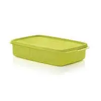 Tupperware Portion & Go Lunch Box Light, Green, Plastic