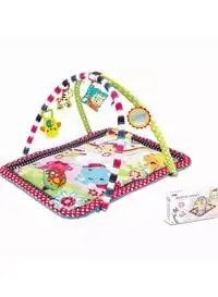 Rally Baby Activity Gym And Playmat