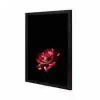 Lowha Red Flower Wall Art Painting With Pan Wooden Black Color Frame 43X53cm