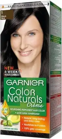 Garnier Nourishing Permanent Hair Color With Conditioner Black 1