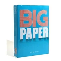 BIG PAPER Photocopy A4 Size 80GSM Paper - 500 Sheets, White