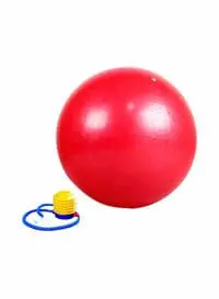 Fitness Pro Exercise Birthing Ball With Quick Pump 75Cm