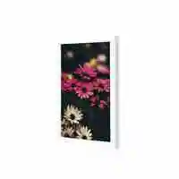 Lowha Pink Daisy Flowers Wall Art Wooden Frame White Color 23X33cm
