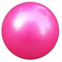 Generic Exercise 65Cm Gym Yoga Swiss Ball Fitness Ab Keep Fit Tone Weightloss Free Pump Red Rose