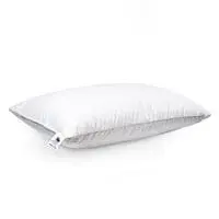American Polo Cotton Bed Pillow With Microfiber Filling - 75x50cm