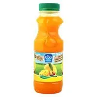 Nadec Mango & Mixed Fruit Nectar 300ml