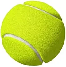 كرة التنس MS Lawn 47020053