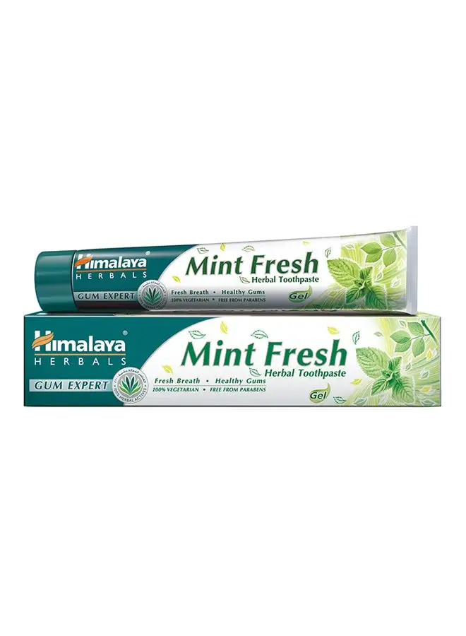 Himalaya Mint Fresh Herbal Toothpaste 100ml