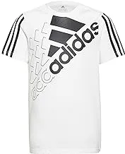 adidas boys ADIDAS BOYS ESSENTIALS LOGO TEE1 T-Shirt