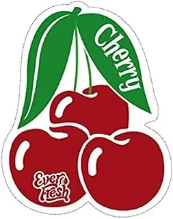 EVERFRESH PAPER CARD MIRROR HANGING CHERRY 1