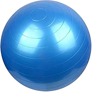 كرة اليوجا من توب سكاي مع مضخة - EM-9316 ، ازرق