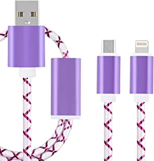 Datazone 2 in 1 USB Charging Cable, Multi Connector For Micro and iPhone 1.5 M DZ-2C01 (Purple)