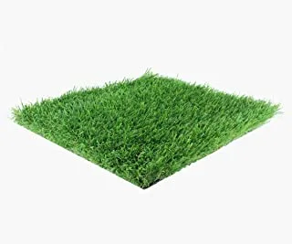 Artificial Grass 0.5×0.8 m 0.4 Pile Height 40mm, F 4007