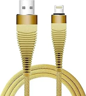 كبل USB من داتازون iPhone متوافق مع iPhone 11 Pro / 11 / XS MAX / XR / 8/7 / 6s / 6 / Plus ، iPad Pro / Air / Mini ، iPod touch - DZ-IP01B 1.2M (ذهبي)