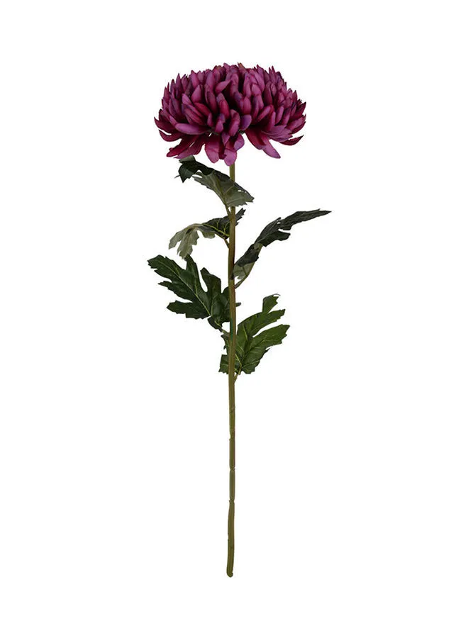 ebb & flow Chrysanthemum Stem Multicolour Unique Luxury Quality Material for the Perfect Stylish Home Multicolour 17 X 17 X 62cm