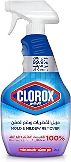 Clorox Mold & Mildew Bleach Remover Spray, Kills 99.9% Germs And Viruses, 750Ml Packaging may vary