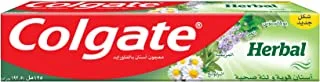 Colgate Herbal Toothpaste 125 Ml